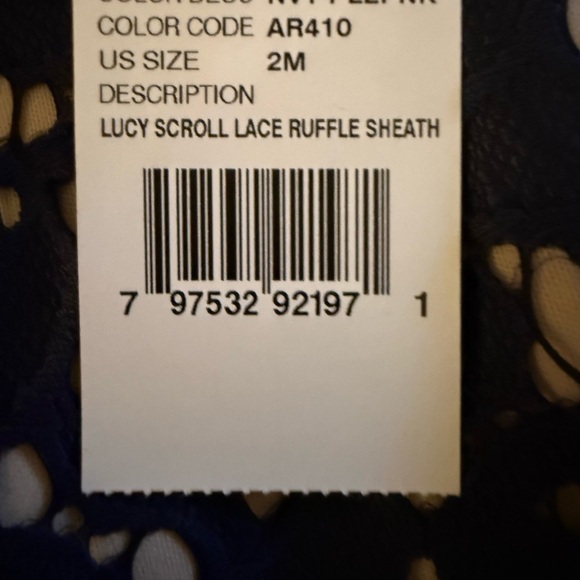 Adrianna Papell Navy and cream Lace Midi Dress - Picture 8 of 9